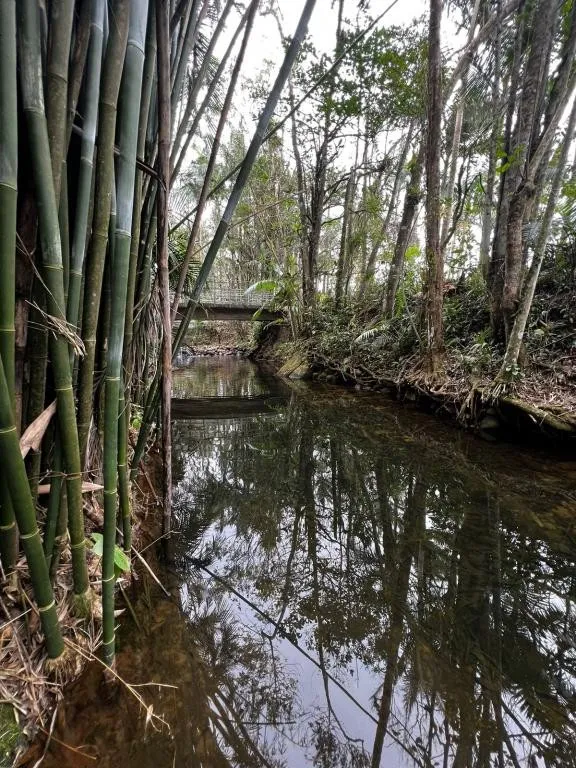 TERRENO no CENTRO com 0 quartos para VENDA, 1330 m — foto 6