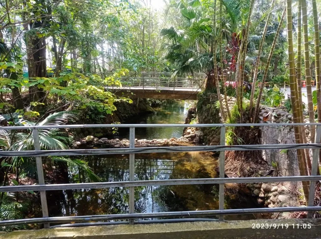 TERRENO no CENTRO com 0 quartos para VENDA, 1330 m — foto 5