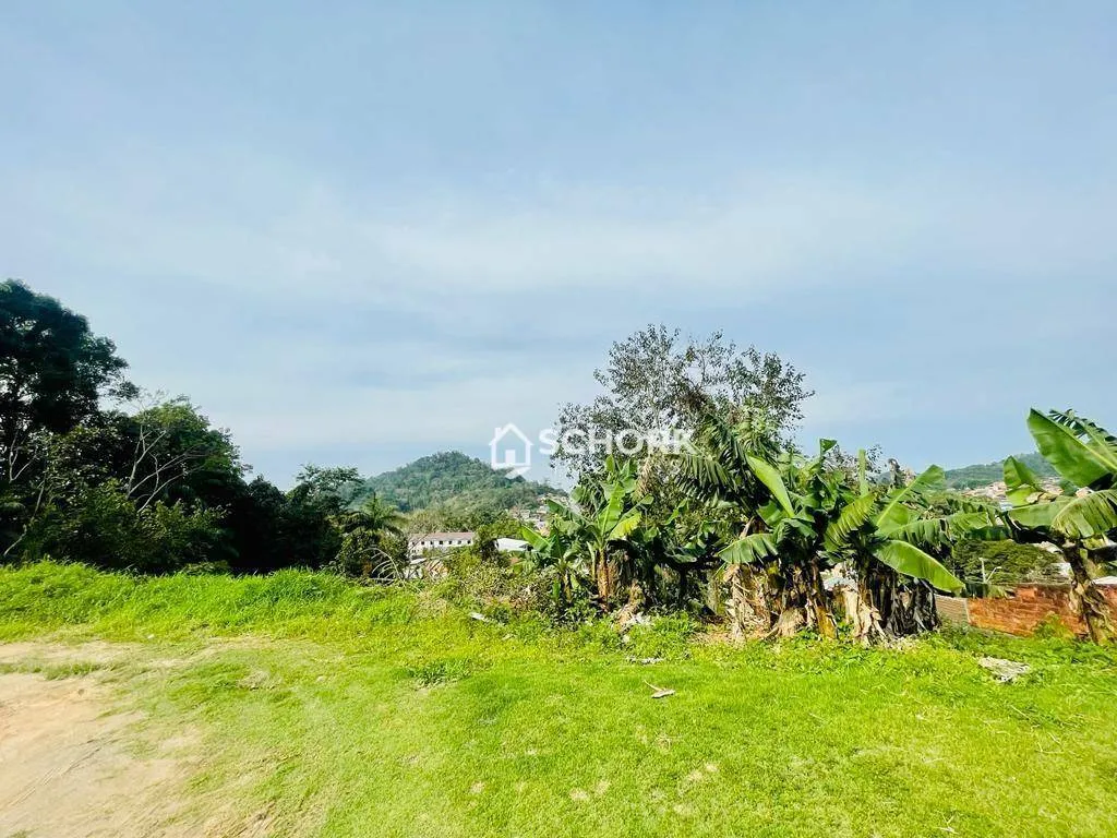 Terreno à venda, 1005 m por R$ 260.000,00 - Itoupavazinha - Blumenau/SC - foto 1