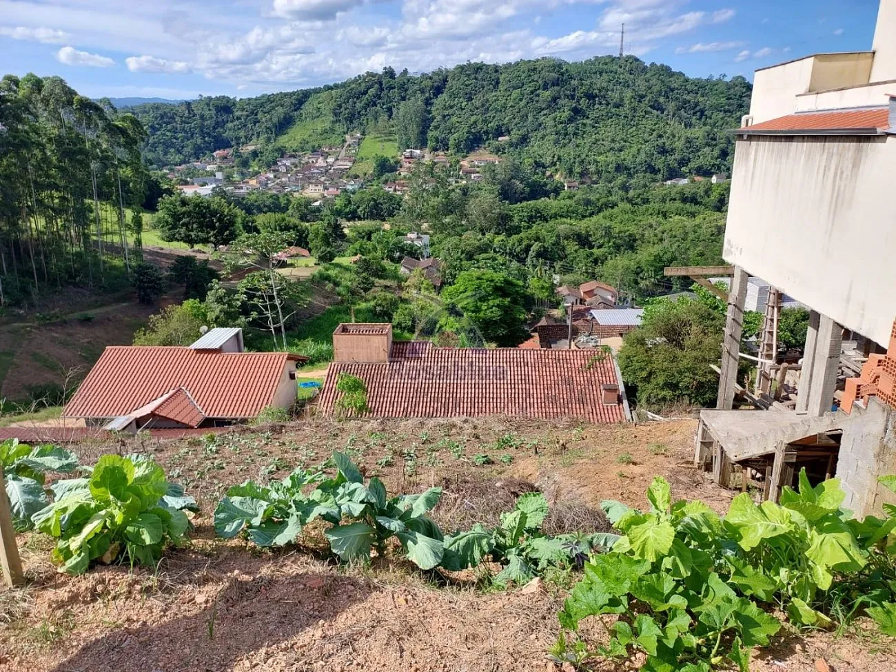 terreno em Ibirama - foto 1