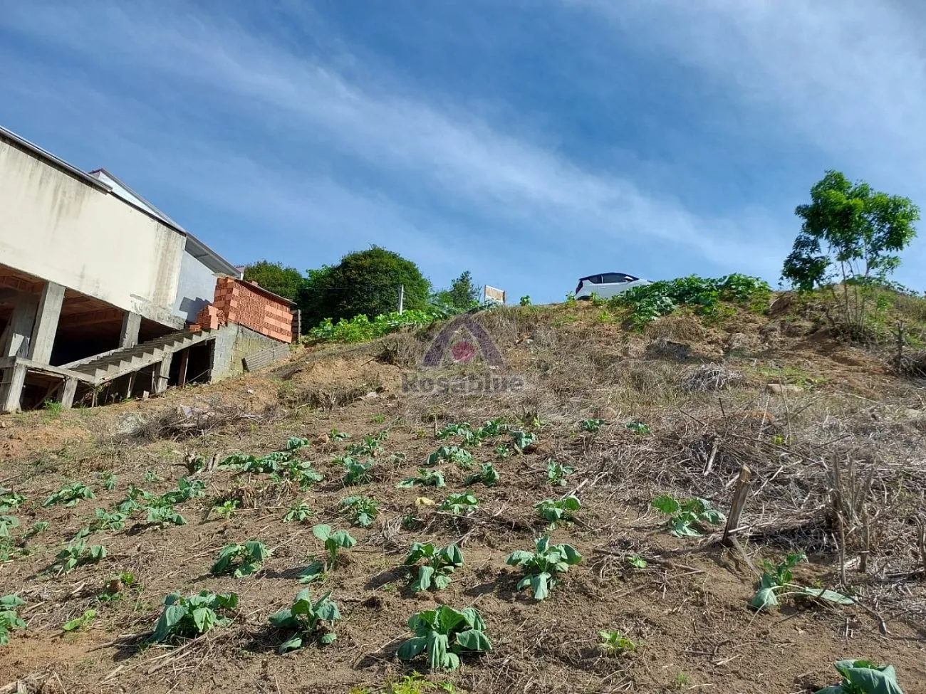 terreno em Ibirama — foto 2