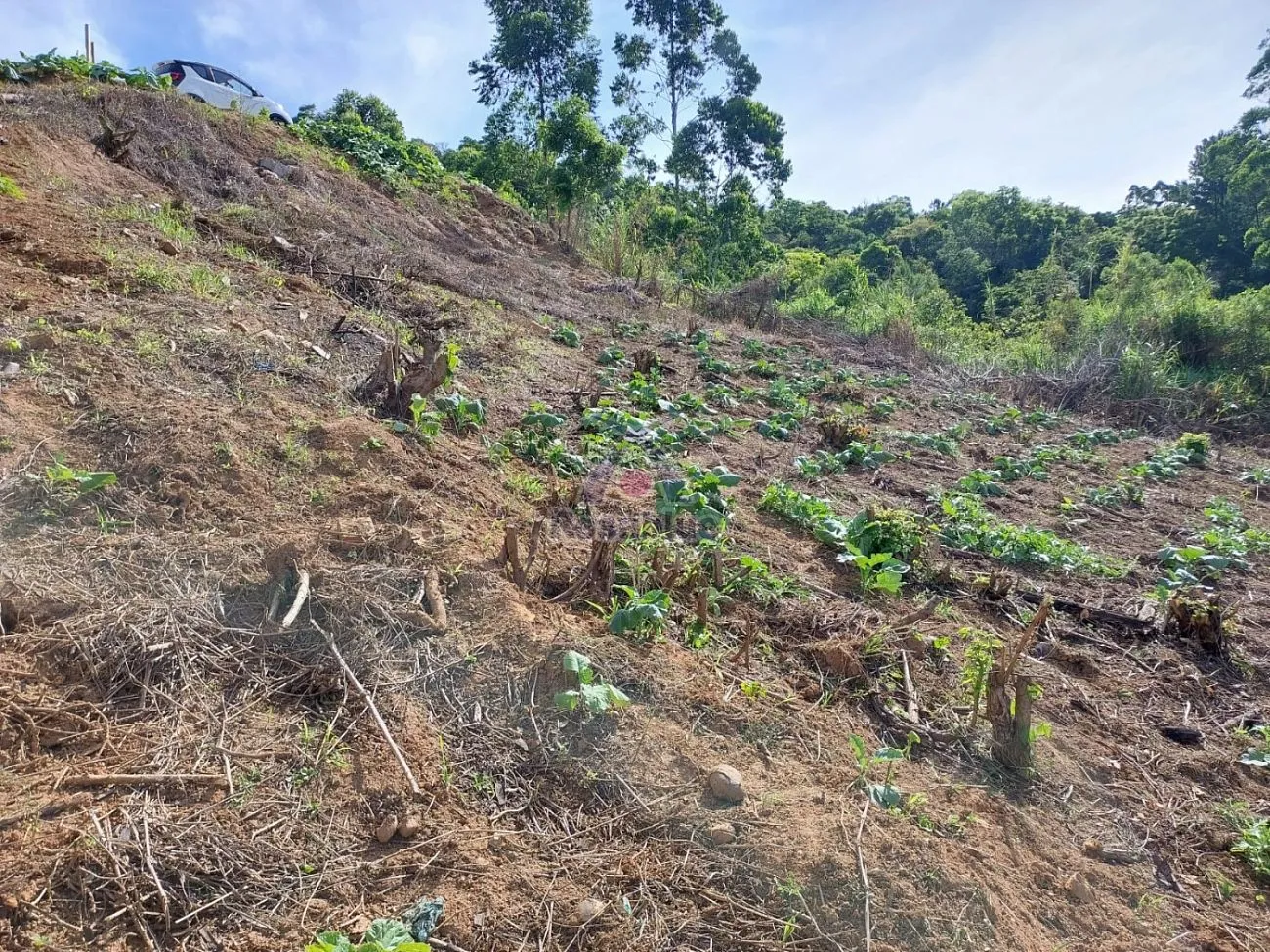 terreno em Ibirama — foto 3