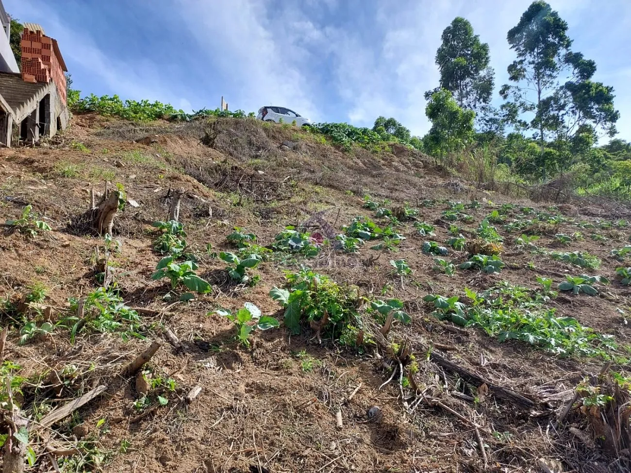 terreno em Ibirama — foto 5