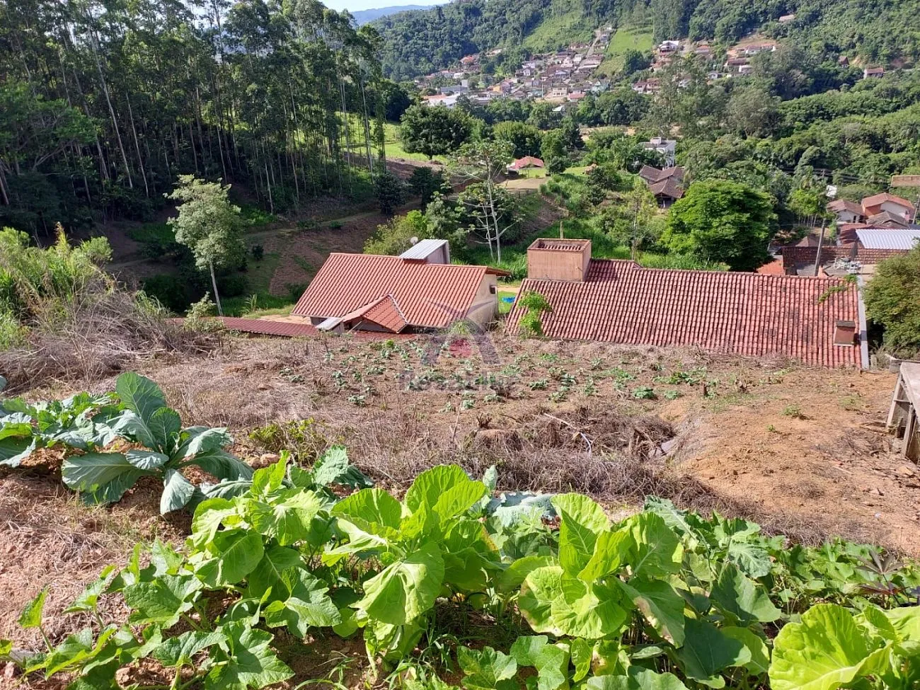 terreno em Ibirama — foto 6