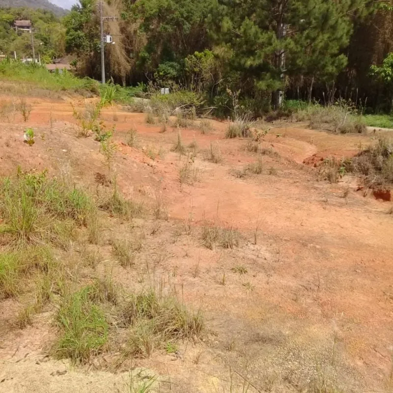 VENDE-SE TERRENO NO CENTRO DE POMERODE PROXIMO AO ZOOLOGICO. — foto 3