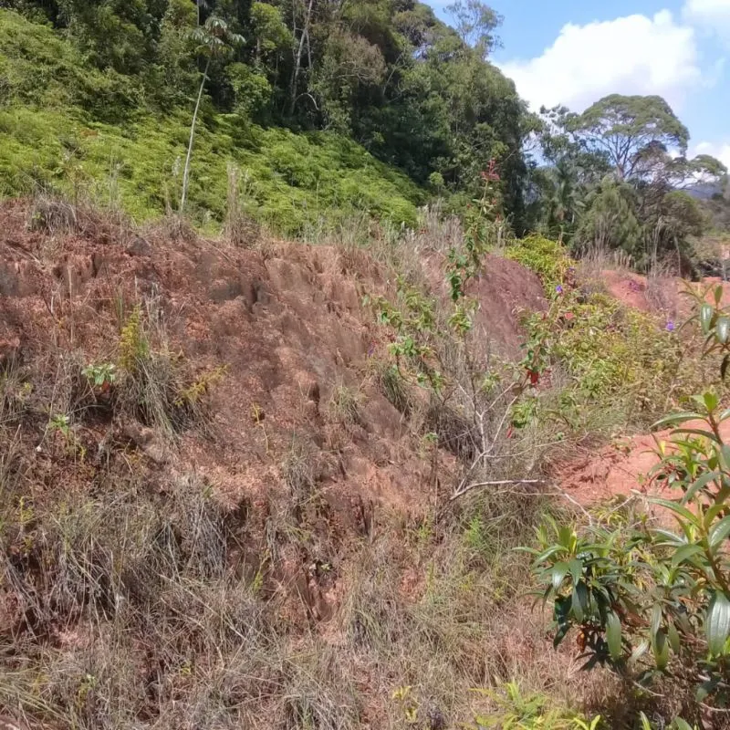 VENDE-SE TERRENO NO CENTRO DE POMERODE PROXIMO AO ZOOLOGICO. — foto 4