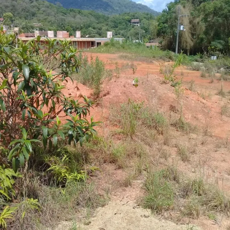 VENDE-SE TERRENO NO CENTRO DE POMERODE PROXIMO AO ZOOLOGICO. — foto 5