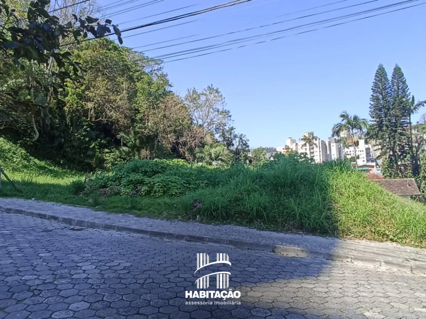 Terreno com 1078 m na Vila Nova — foto 3