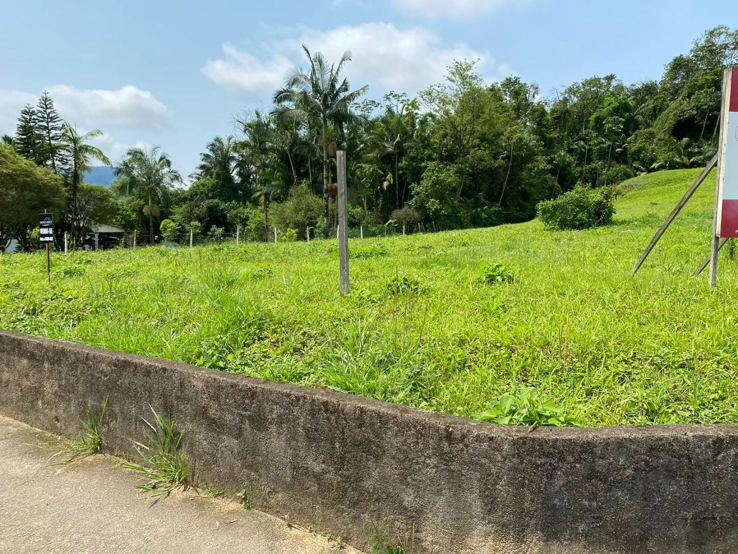 Terreno à venda no bairro Divineia em Rio dos Cedros/SC — foto 2