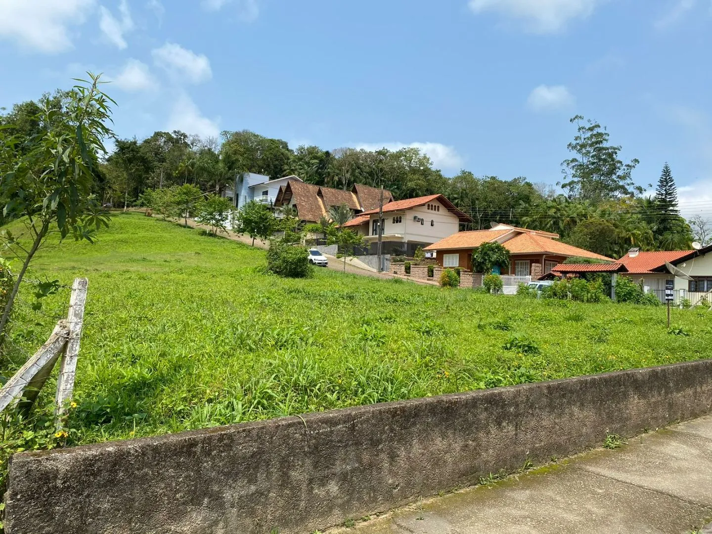 Terreno à venda no bairro Divineia em Rio dos Cedros/SC — foto 3