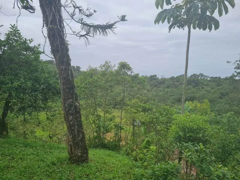 Terreno JOINVILLE - SC — foto 5