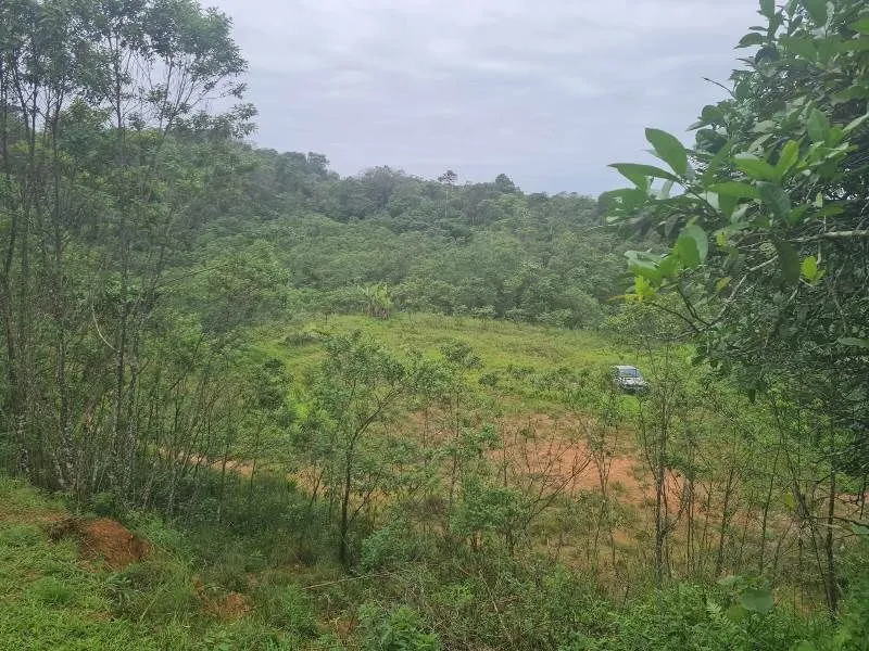 Terreno JOINVILLE - SC — foto 6