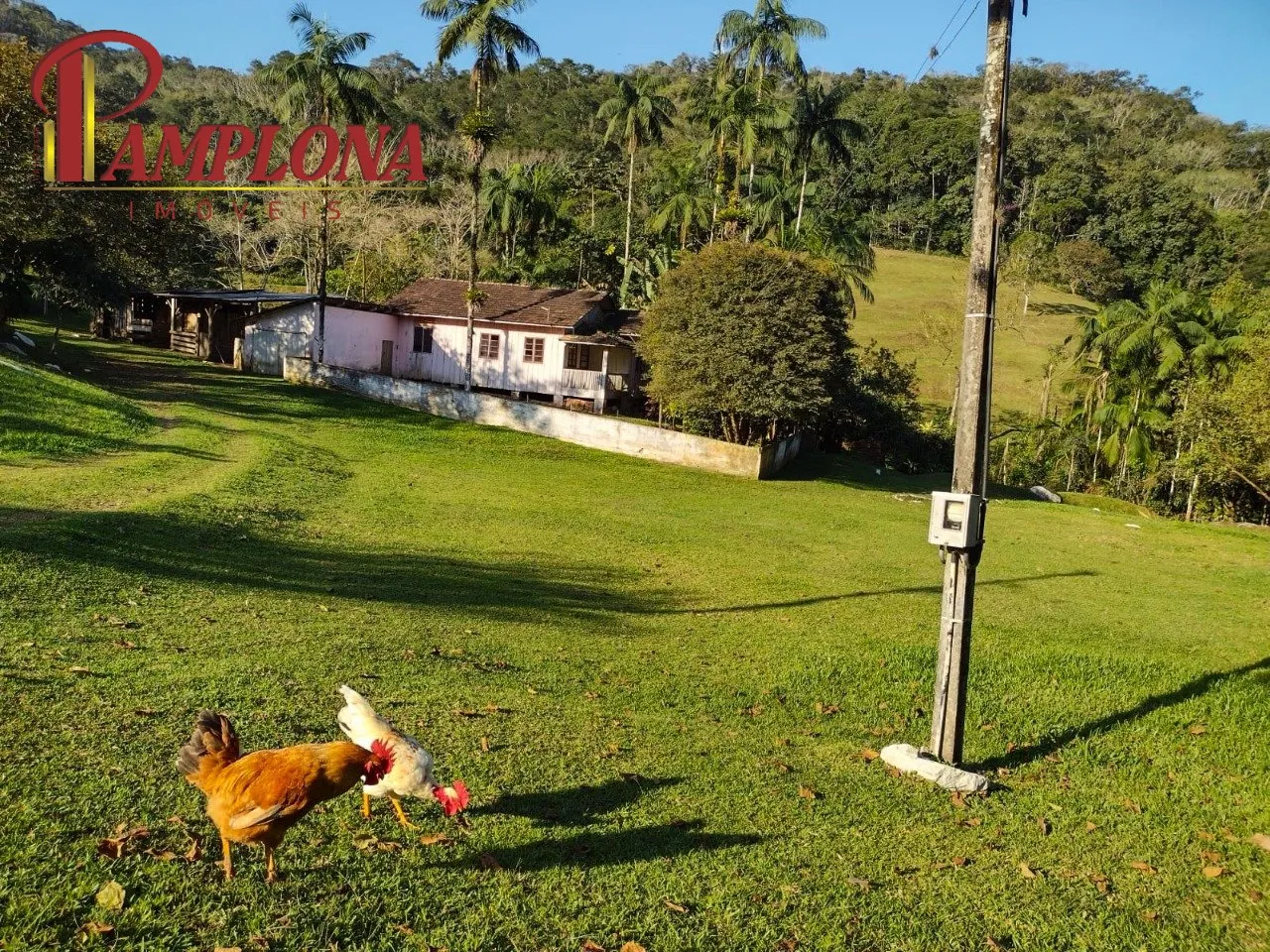 Imóvel - foto 1