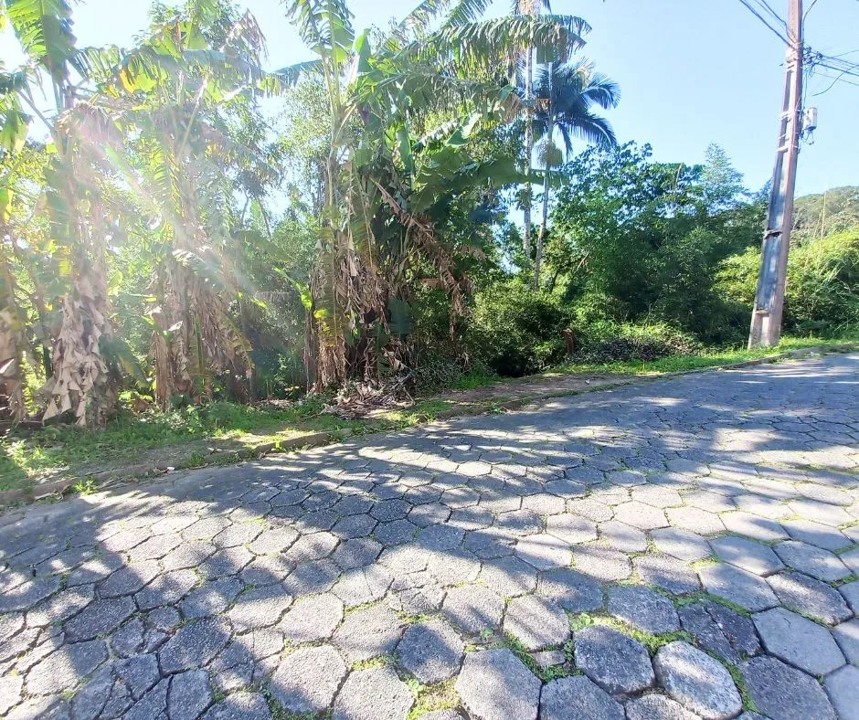 Terreno no bairro Fidélis em Blumenau! — foto 5