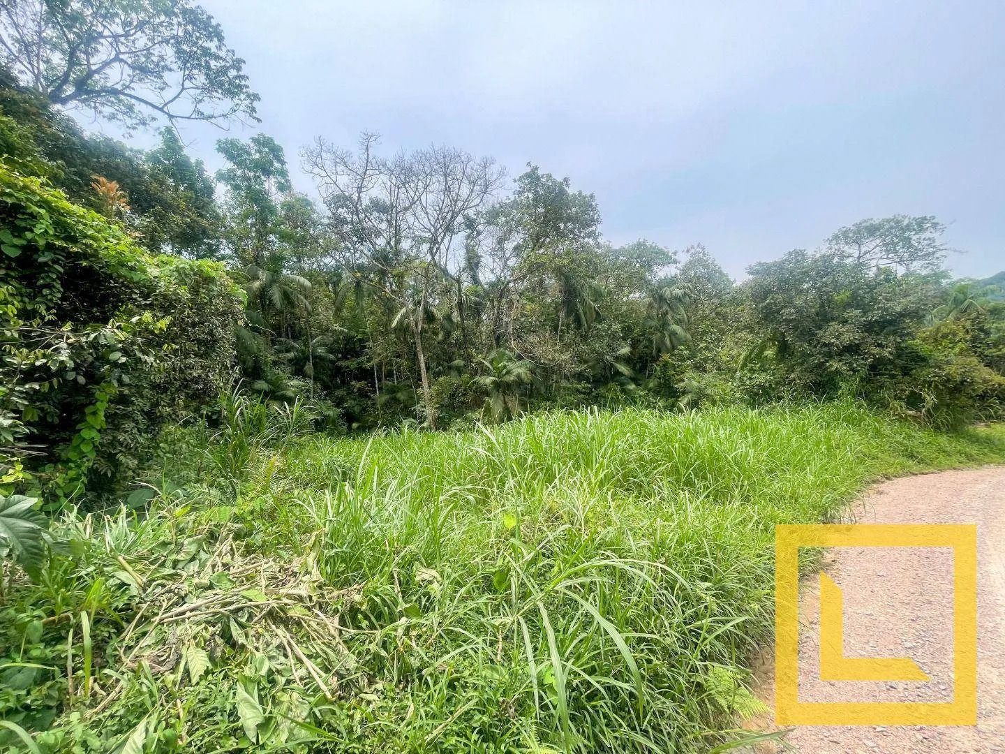 Terreno Amplo à Margem de um Límpido Rio em Pomerode — foto 4