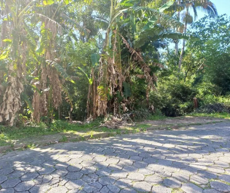 Terreno no bairro Fidélis em Blumenau! - foto 1