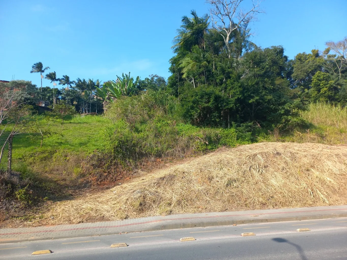 Excelente área para construção na Itoupava Central! — foto 5