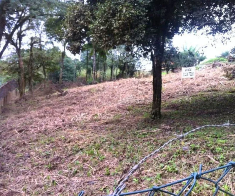 Excelente área para construção na Itoupava Central! — foto 3