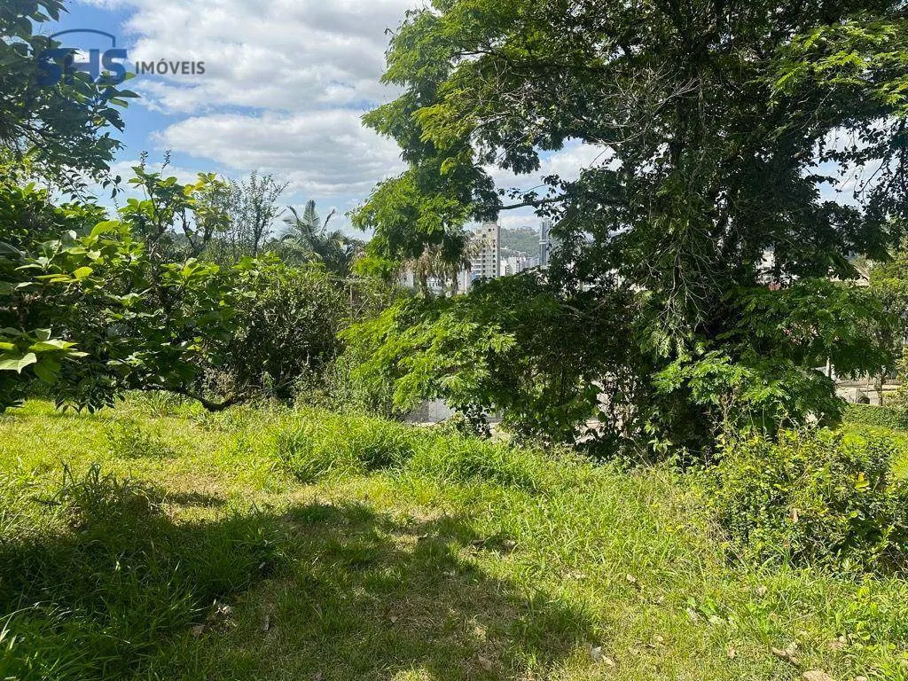 Terreno à venda, 1644 m por R$ 2.300.000,00 - Jardim Blumenau - Blumenau/SC — foto 5