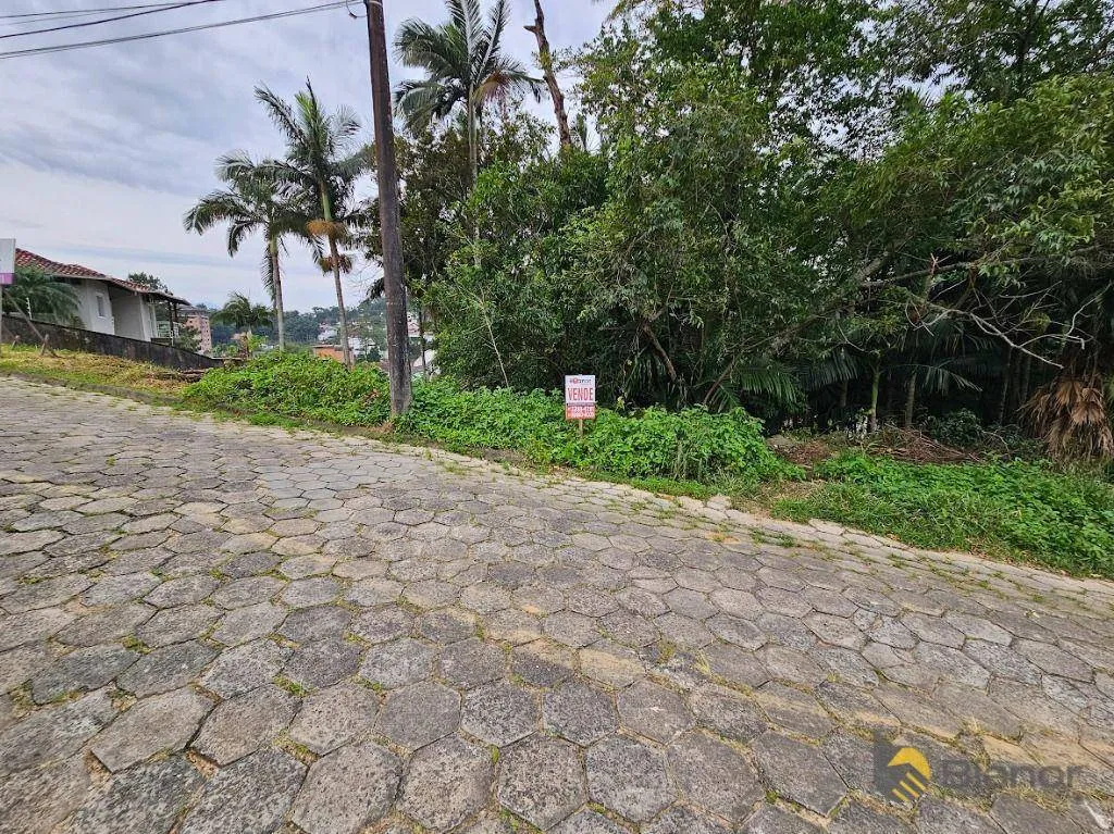 Terreno à venda, 500 m por R$ 475.000,00 - Escola Agrícola - Blumenau/SC - foto 1