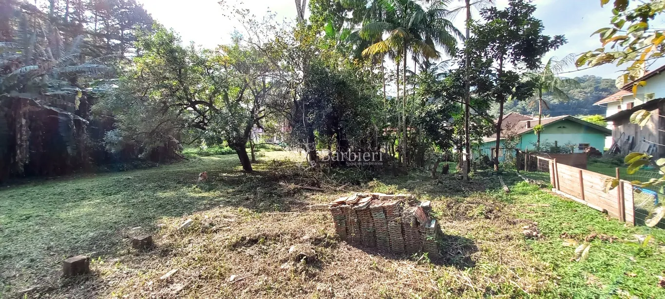 Terreno à venda, no bairro Progresso em Blumenau/SC — foto 4