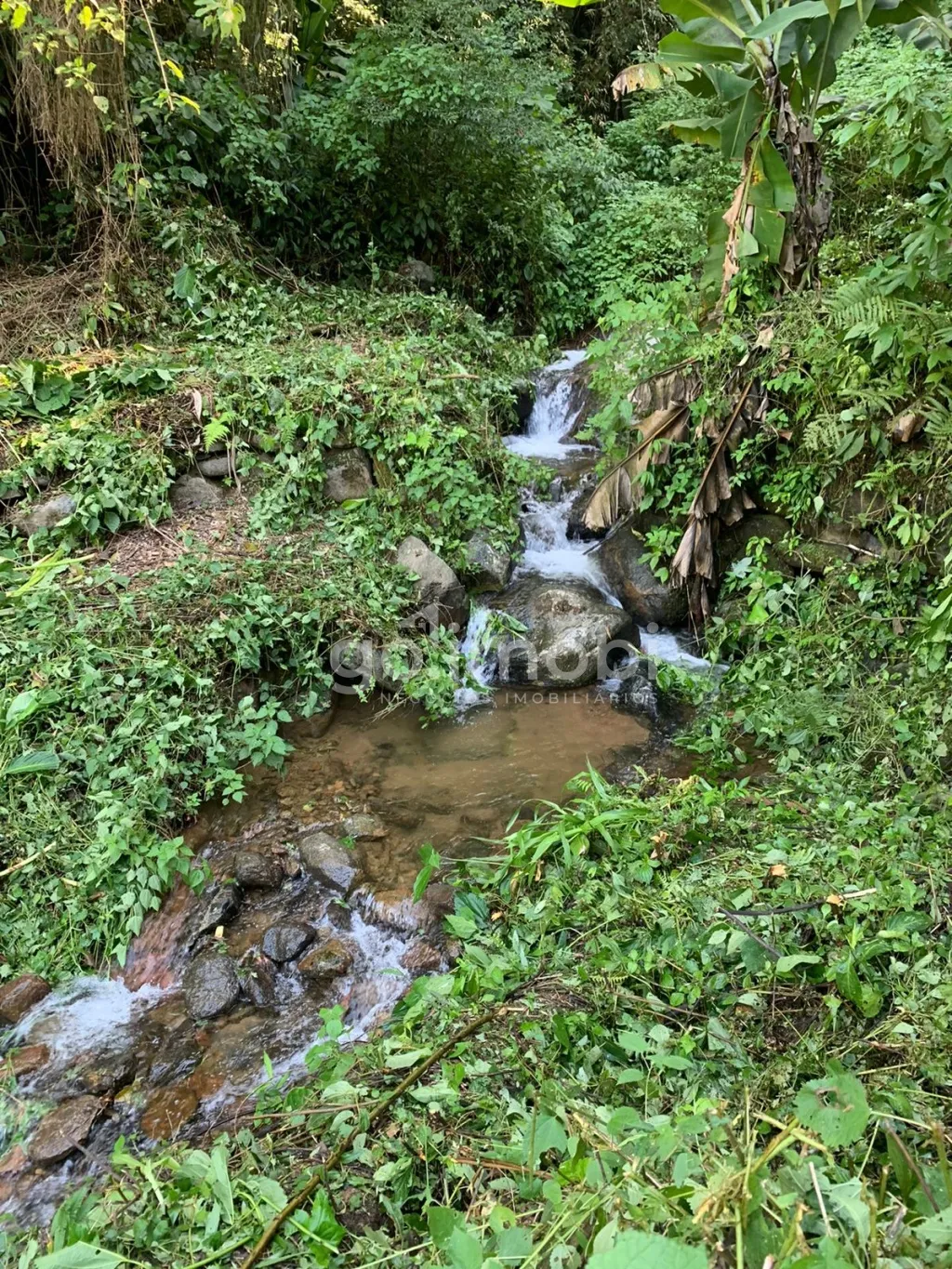 Terreno para Sítio com nascente e muita tranquilidade. — foto 2