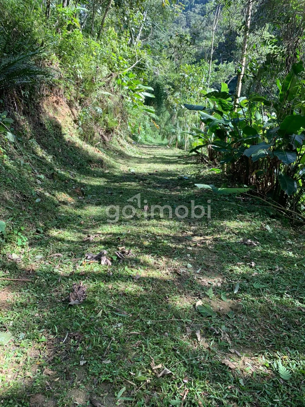 Terreno para Sítio com nascente e muita tranquilidade. — foto 3
