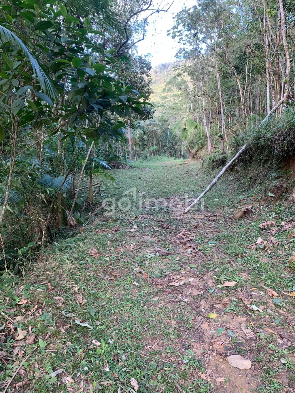 Terreno para Sítio com nascente e muita tranquilidade. — foto 6
