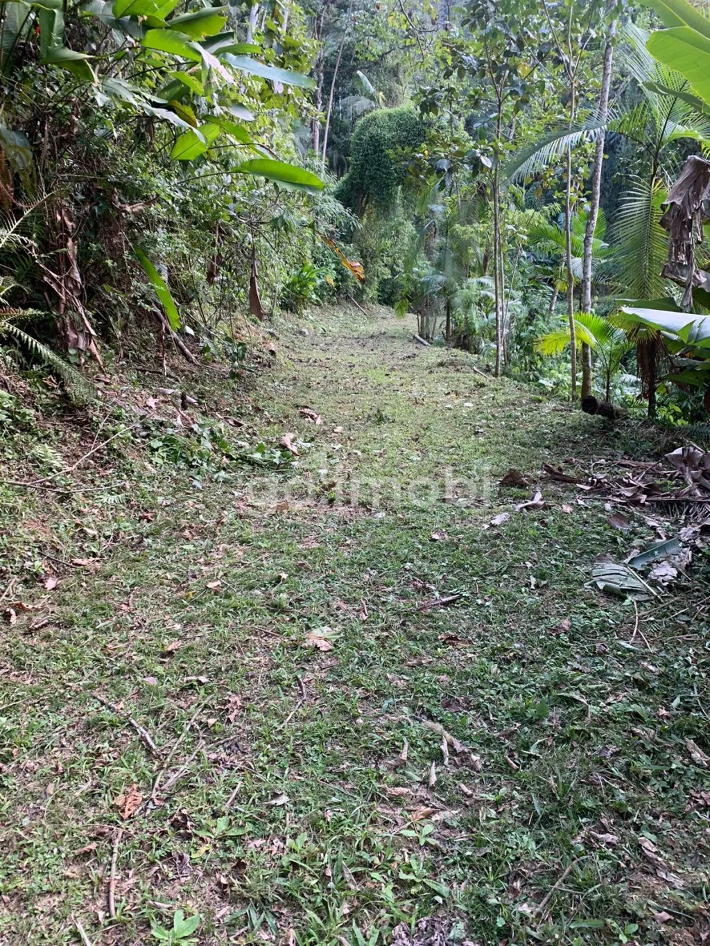 Terreno para Sítio com nascente e muita tranquilidade. — foto 7