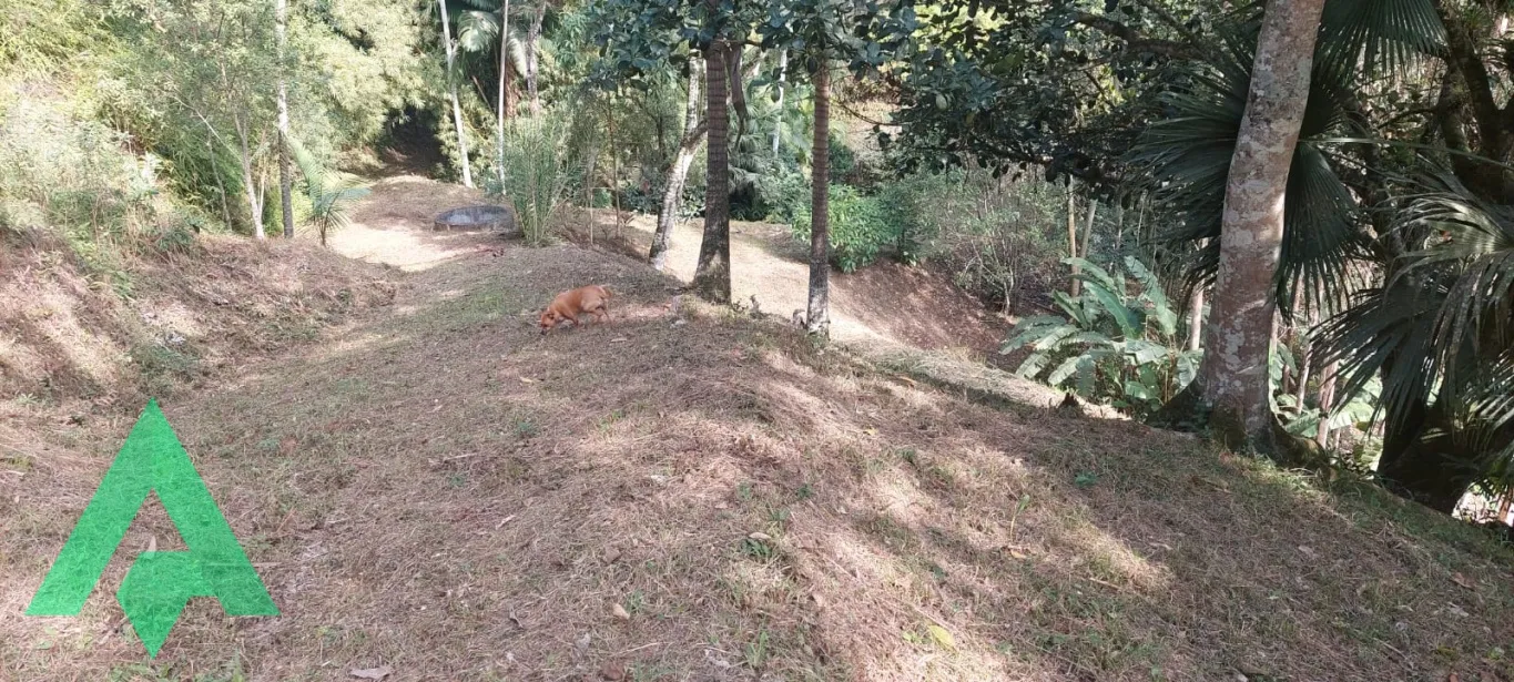 Amplo terreno à venda, no início da Rua Pastor Oswaldo Hesse, no Bairro Ribeirão Fresco! — foto 7