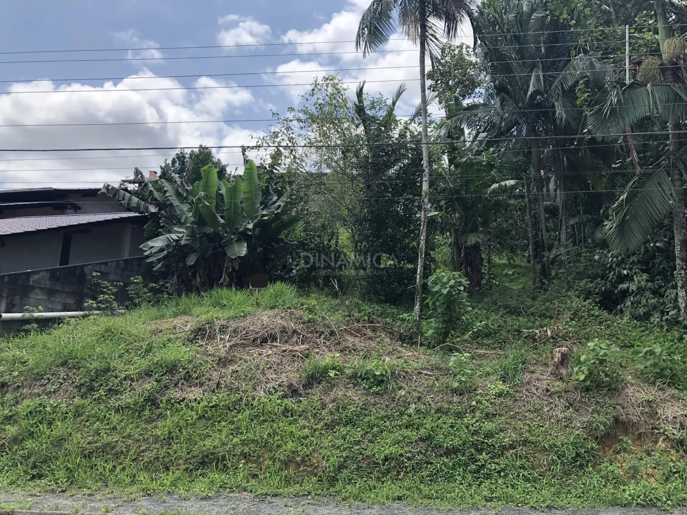 Ótimo terreno no Bairro Tribess, com 377,35m2, 13,82 metros de frente, livre de enchente, região tranquila, próximo a Clínica Veterinária Bicho Mascote, Blumenau Santa Catarina - foto 1