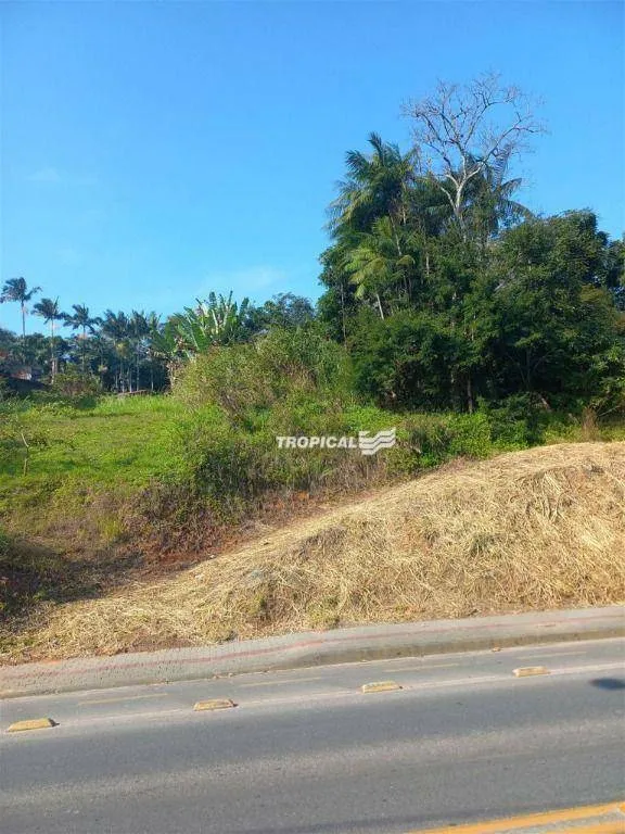 Terreno à venda, 1005 m por R$ 450.000,00 - Itoupavazinha - Blumenau/SC — foto 3