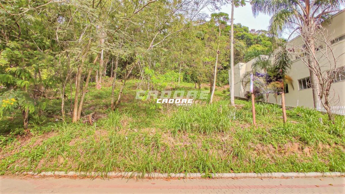 Terreno RESIDENCIAL e COMERCIAL localizado no bairro GARCIA. — foto 2