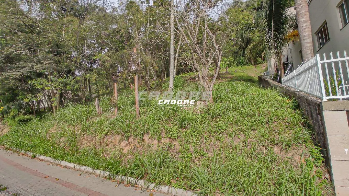 Terreno RESIDENCIAL e COMERCIAL localizado no bairro GARCIA. — foto 6