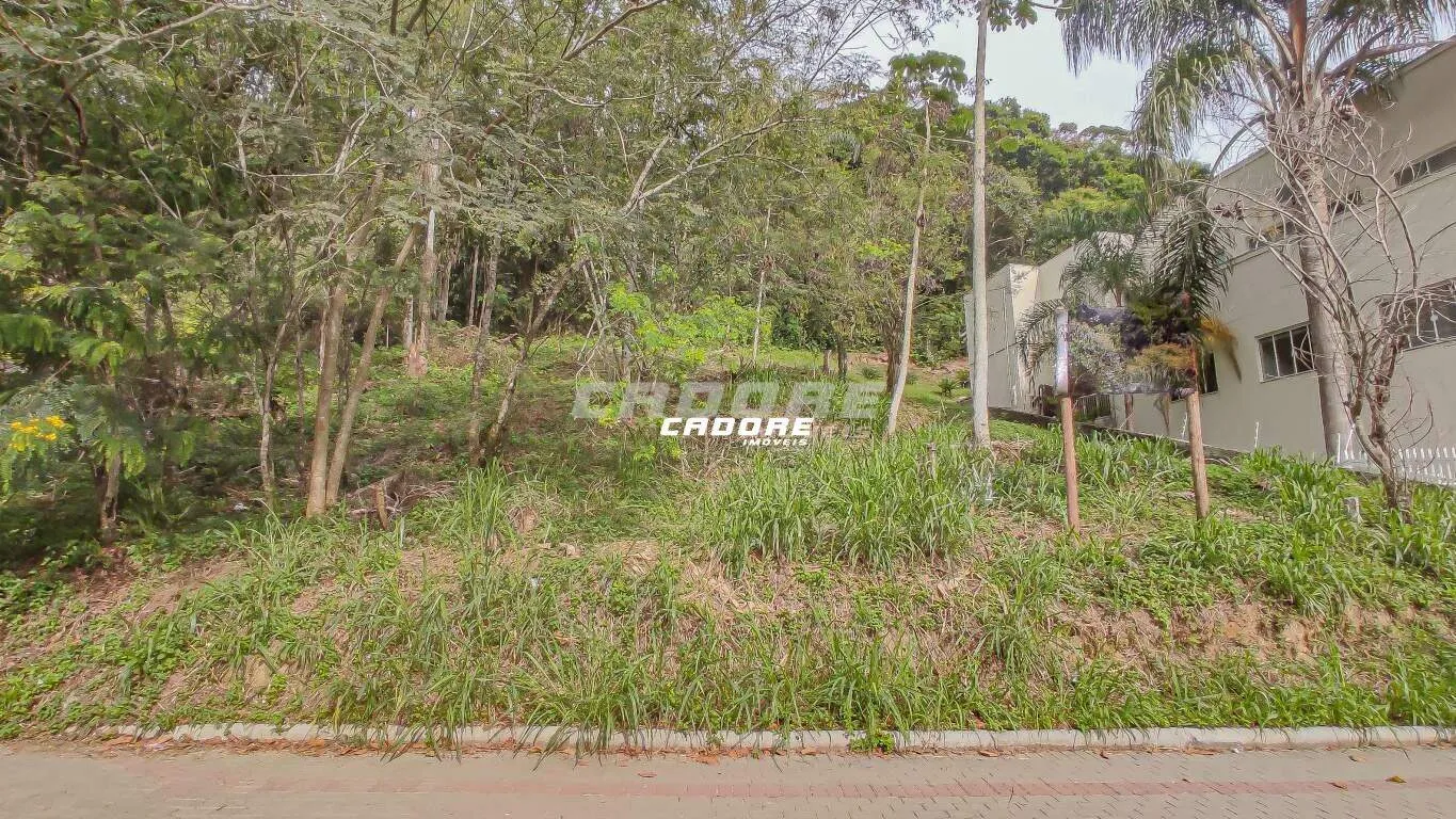 Terreno RESIDENCIAL e COMERCIAL localizado no bairro GARCIA. — foto 7