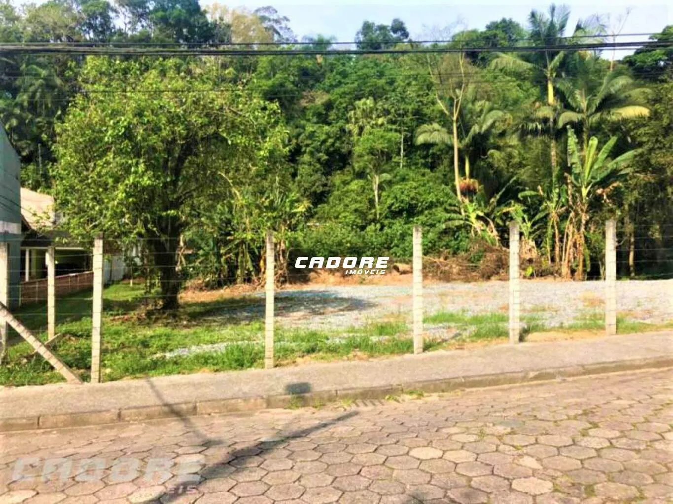 Excelente terreno plano ao lado da Vila Germânica. - foto 1