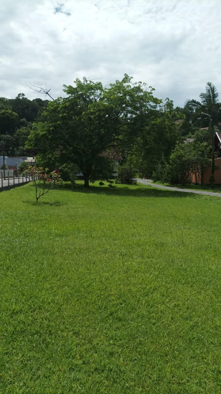 TERRENO COM CASA - Centro, Pomerode SC — foto 7