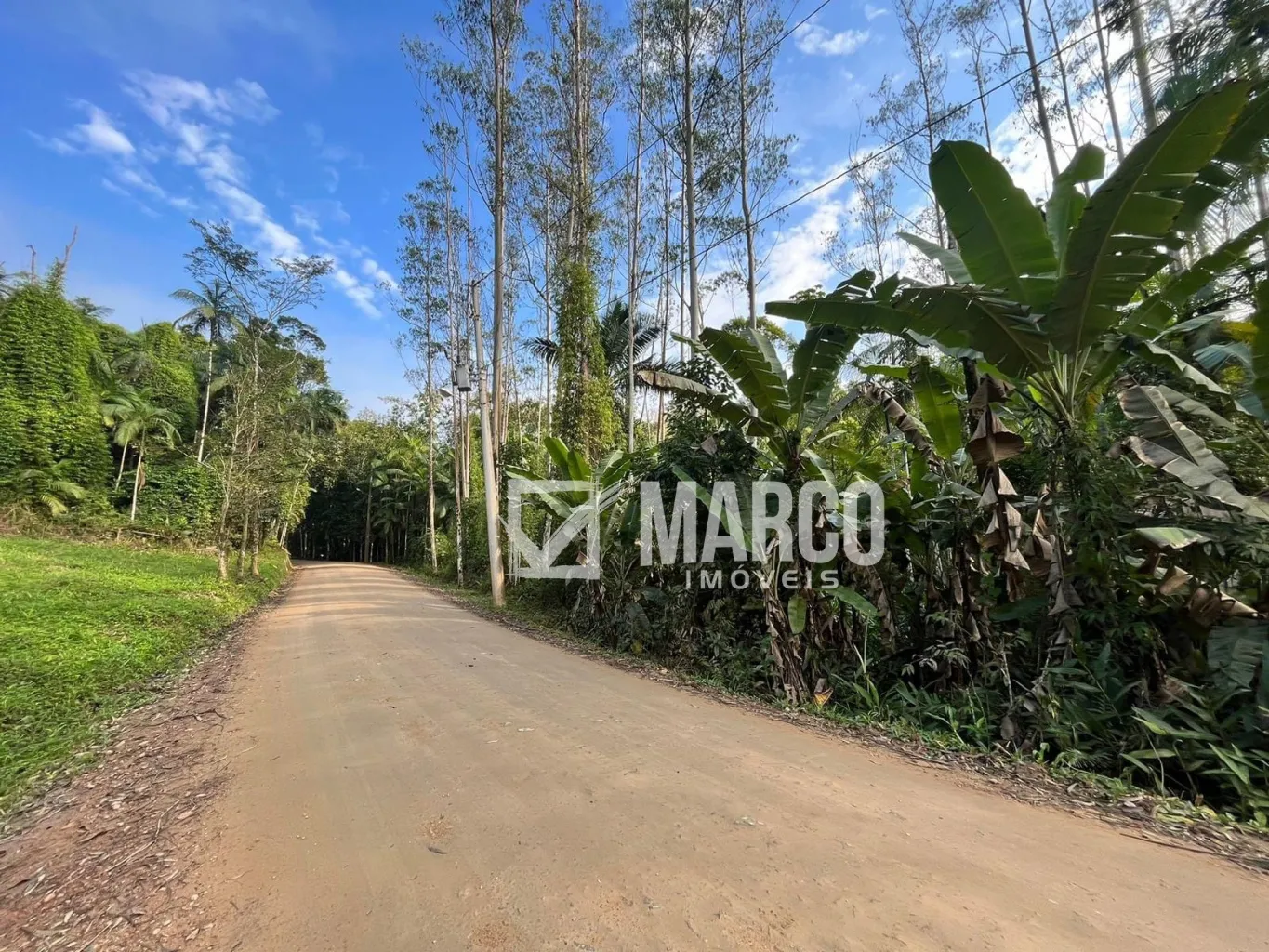 Terreno/Chácara em Testo Central - foto 1