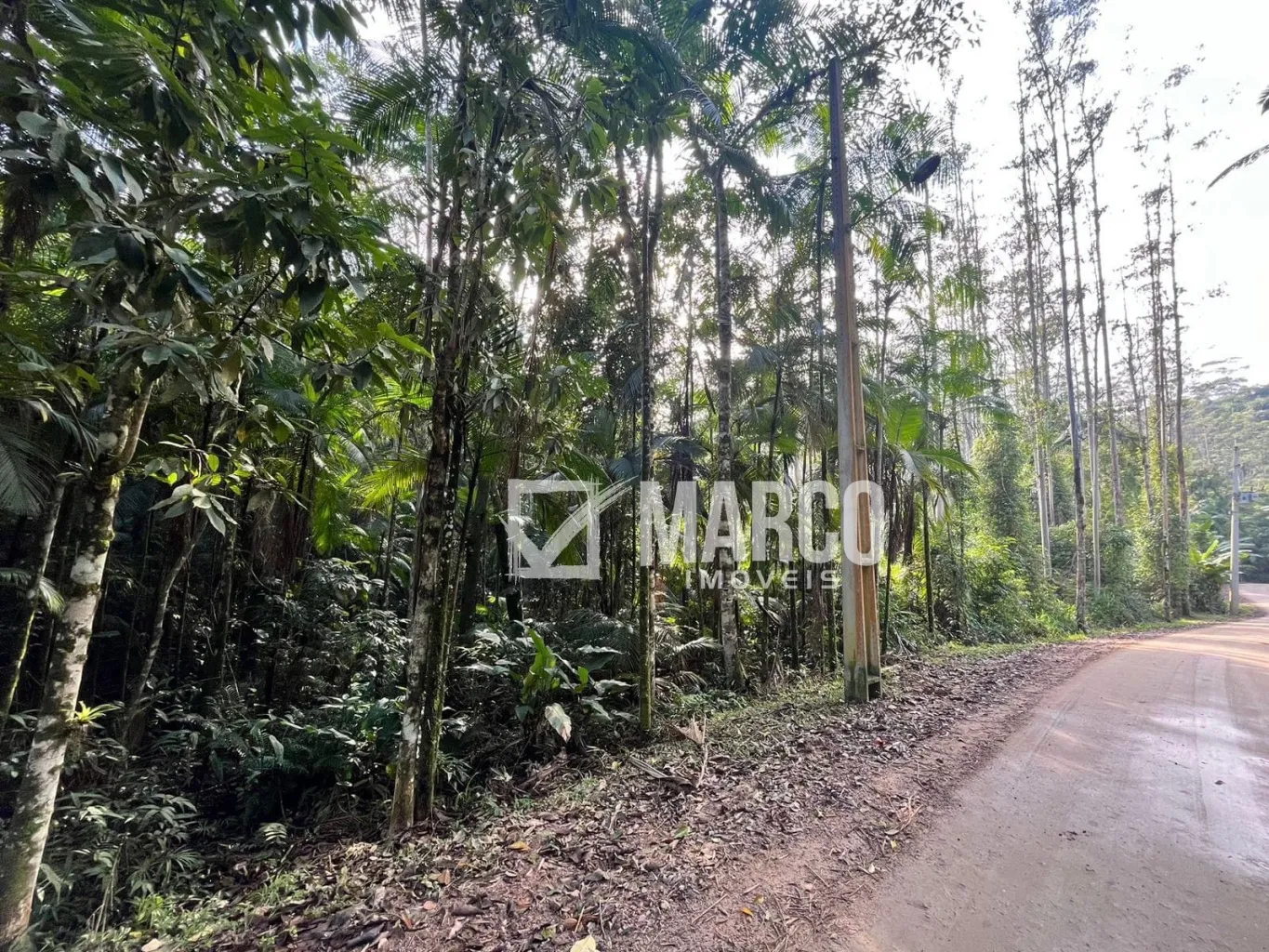 Terreno/Chácara em Testo Central — foto 4