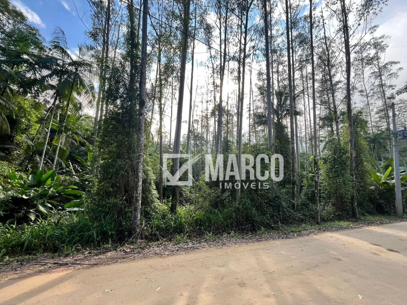 Terreno/Chácara em Testo Central — foto 5