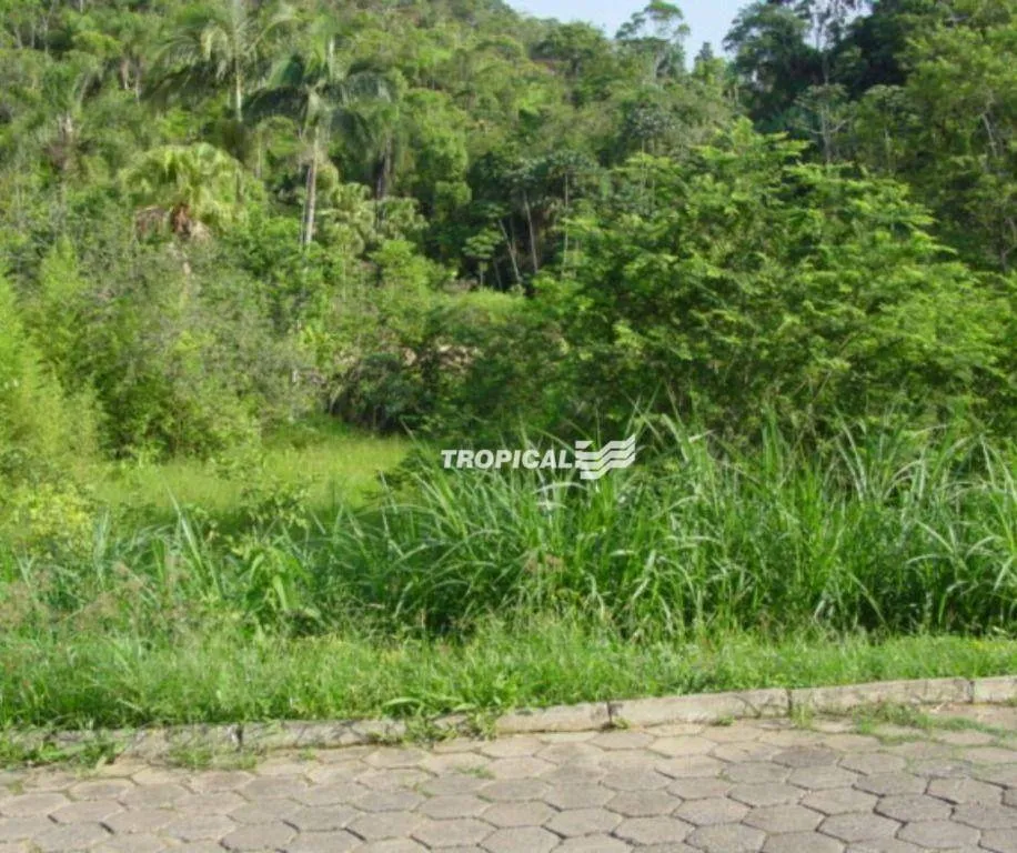 Terreno à venda, 420 m por R$ 249.000,00 - Fortaleza - Blumenau/SC — foto 5