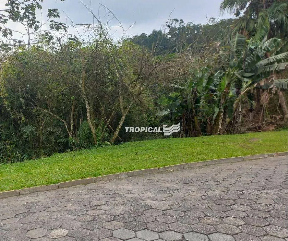 Terreno à venda, 420 m por R$ 249.000,00 - Fortaleza - Blumenau/SC - foto 1
