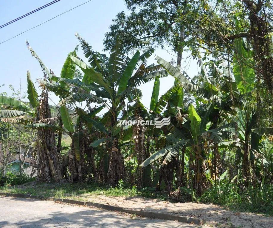 Terreno à venda, 420 m por R$ 249.000,00 - Fortaleza - Blumenau/SC - foto 1