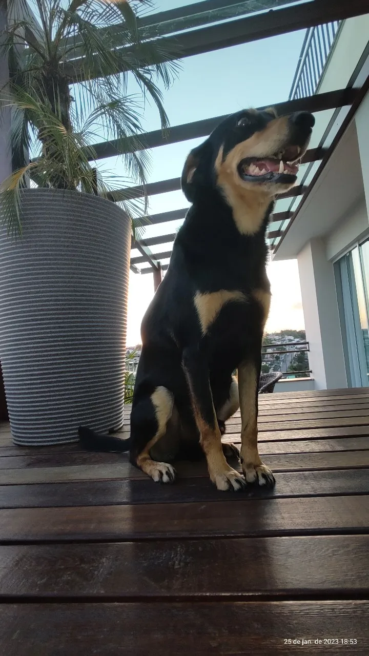 LINDA COBERTURA EM BLUMENAU — foto 5