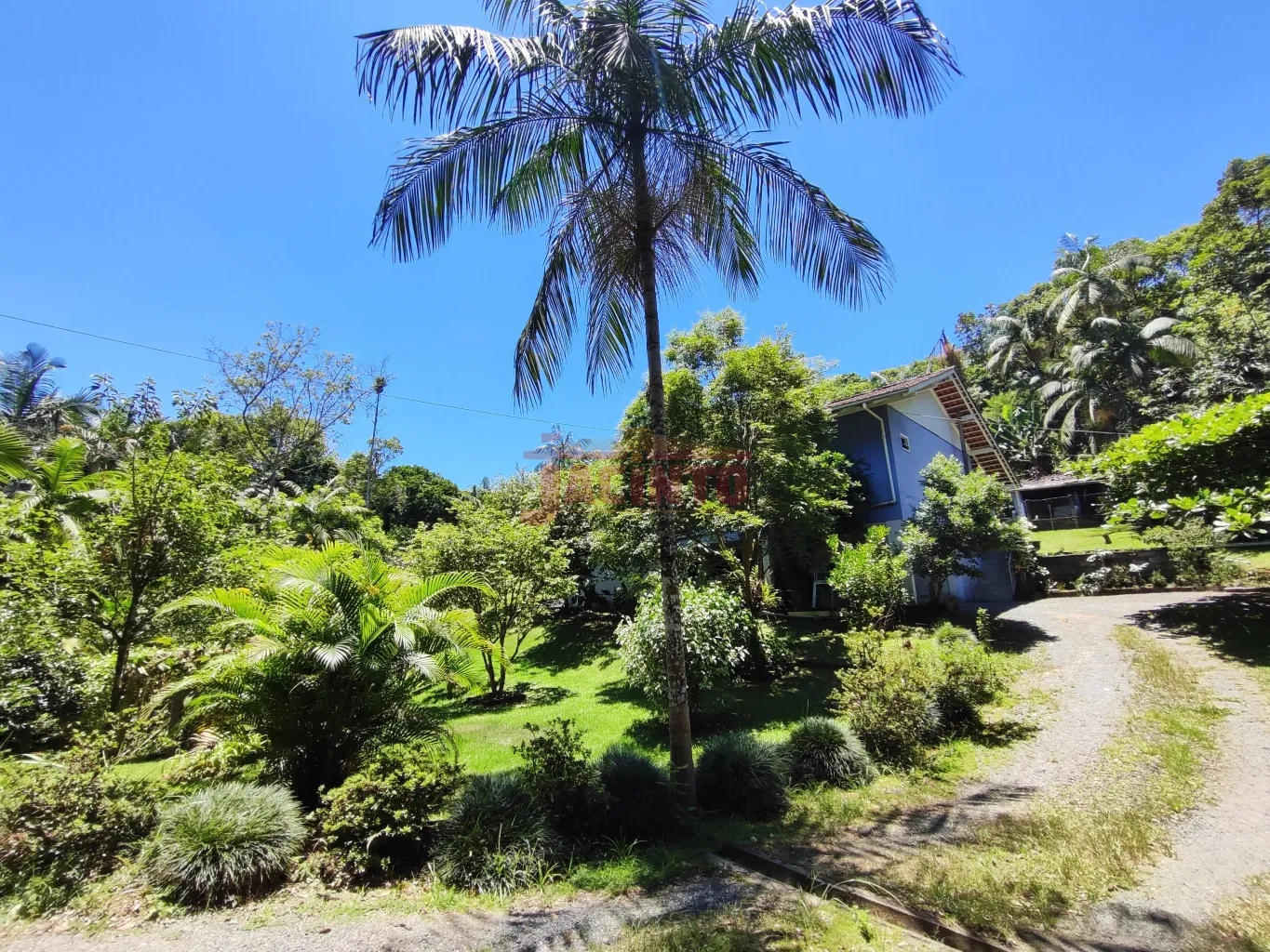 Casa envolta de uma natureza exuberante, em um terreno de 3.808 m, bem próximo ao Norte Shopping e Shopping do Carro. — foto 2