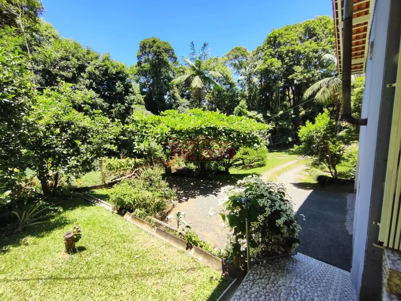 Casa envolta de uma natureza exuberante, em um terreno de 3.808 m, bem próximo ao Norte Shopping e Shopping do Carro. — foto 5