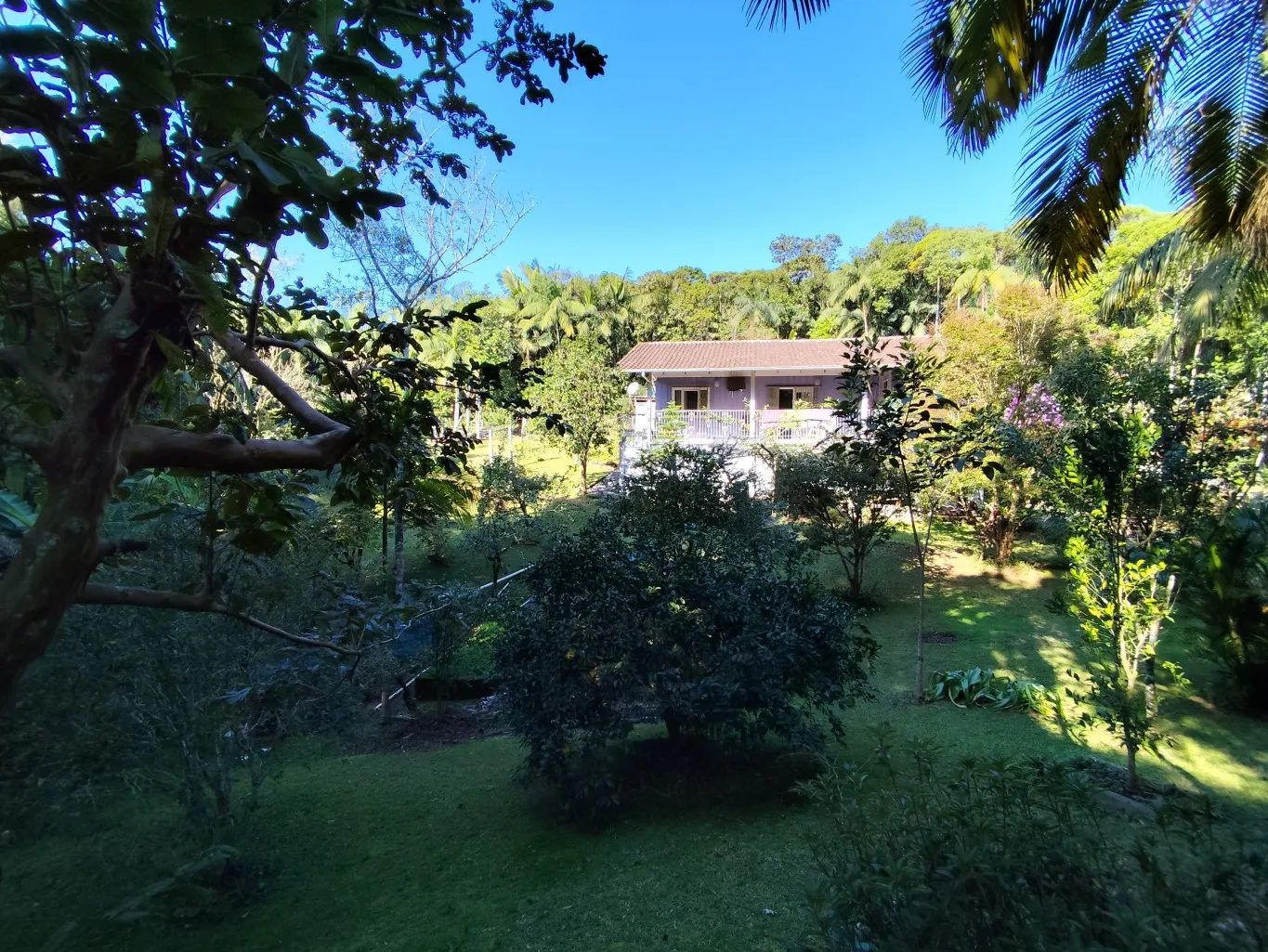 Casa envolta de uma natureza exuberante, em um terreno de 3.808 m, bem próximo ao Norte Shopping e Shopping do Carro. - foto 1