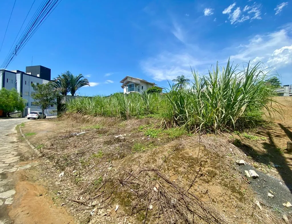 Terreno à venda no bairro Quintino em Timbó/SC — foto 4