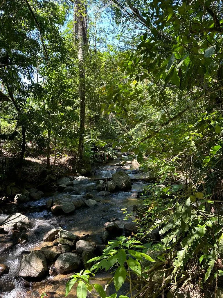 TERRENO, Testo Rega, Pomerode - SC - foto 1