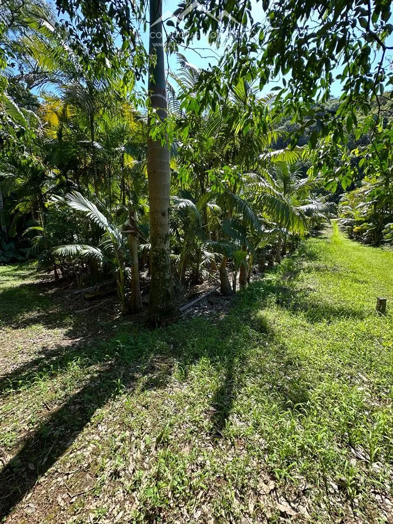 TERRENO, Testo Rega, Pomerode - SC — foto 2